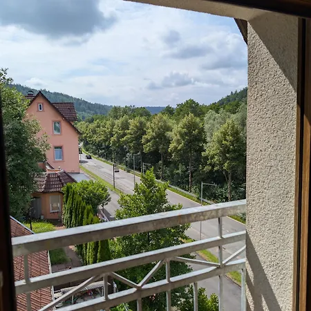 Daire Am Hainer Berg Heigenbruecken